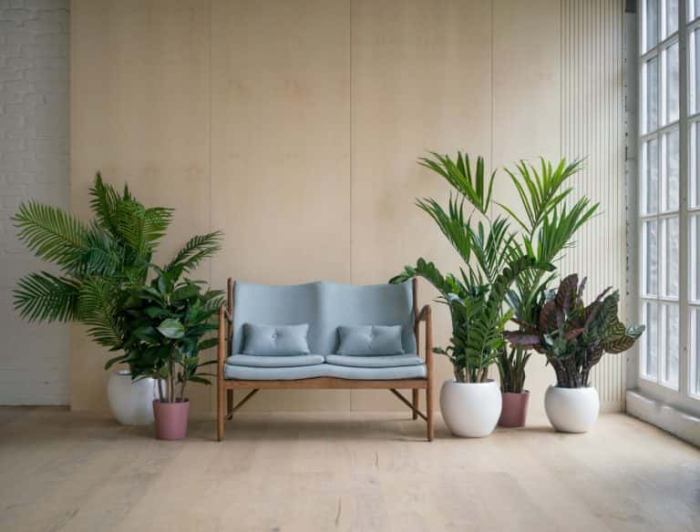 How to decor living room with plants